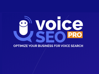 VOICESEO.PRO: PHP API DEV & WORDPRESS