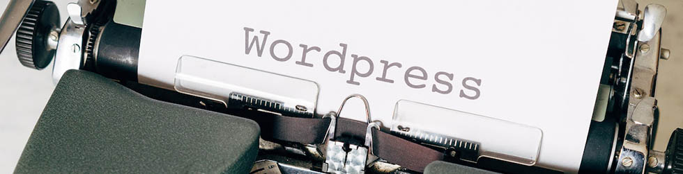 Why is WordPress’ Impreza theme such a popular choice?