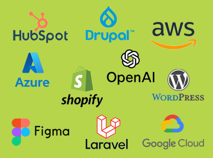 WordPress, Shopify, Laravel, Drupal & more.
